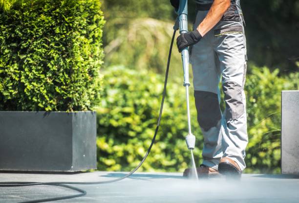 Best Pool Deck Cleaning  in Van Vleck, TX